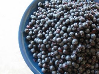 Ricette di Mirtillo Nero